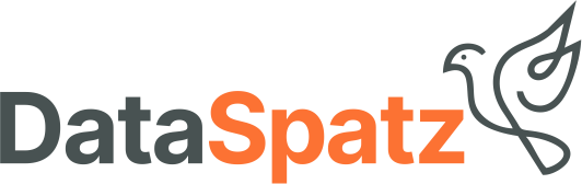 DataSpatz logo